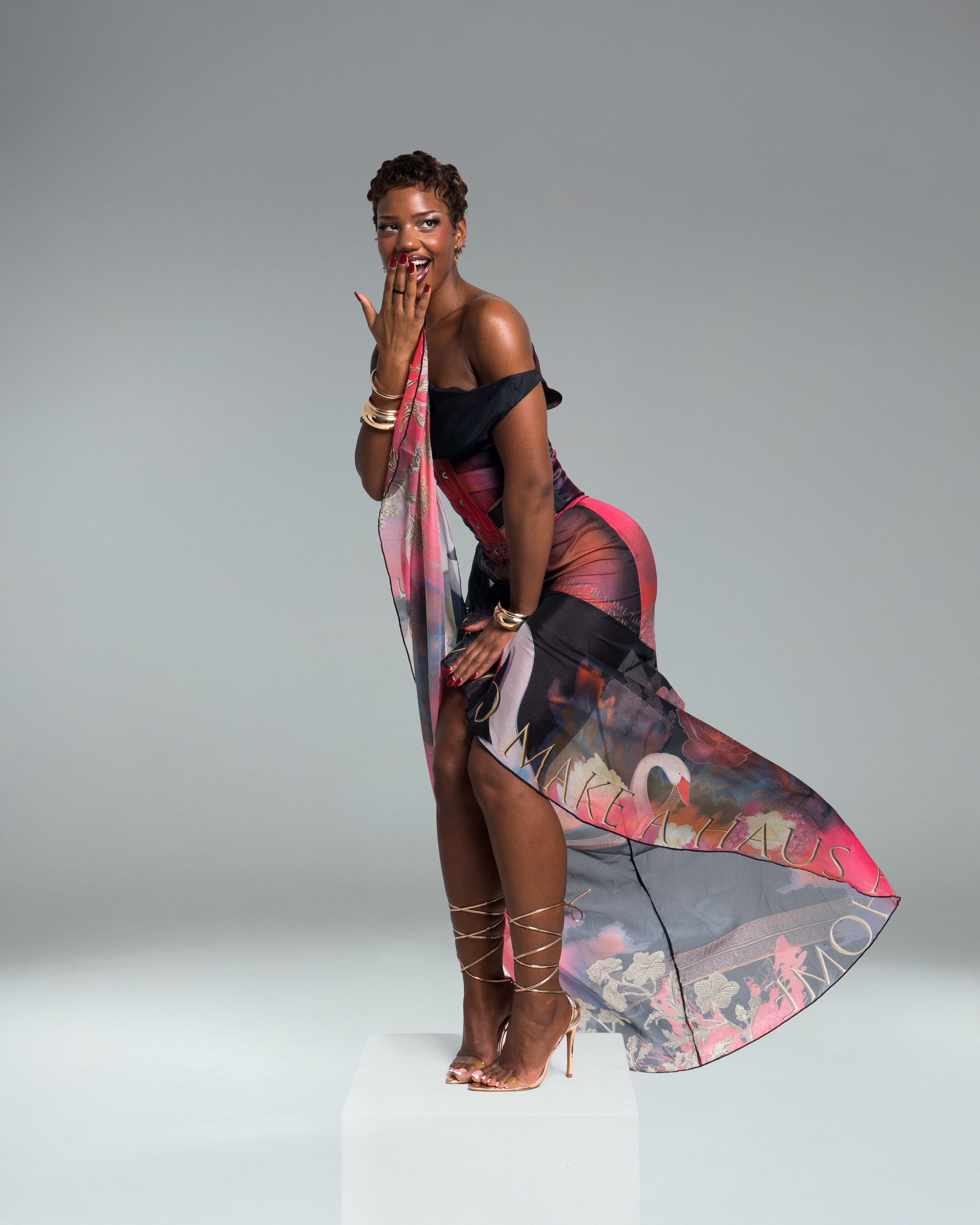 The Plume Gown